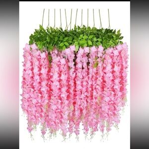 Pink hanging wisteria